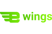 Франшиза E-wings